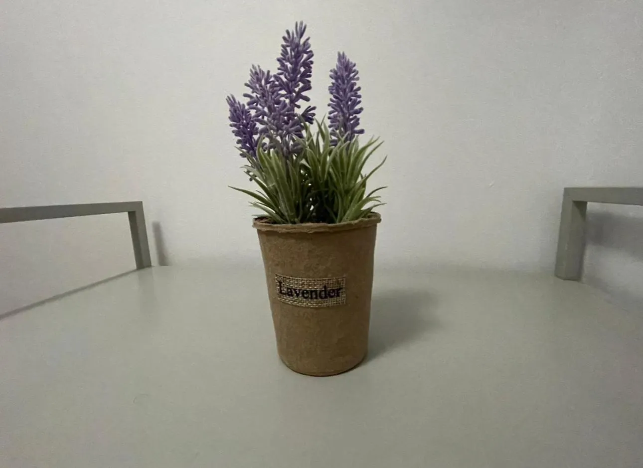 Conta Apartment Bucharest